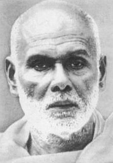 Narayana Guru image